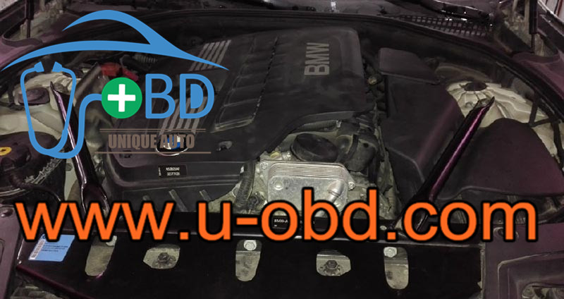 BMW N52 Engine BSD Failure repair