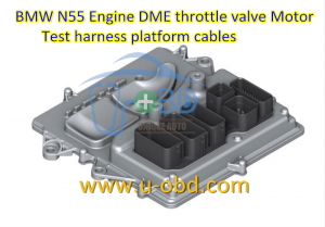 BMW N55 Engine DME MEVD1726 Throttle valve Motor Test harness platform cables